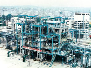 北京燕山石油化工总厂扩建工程