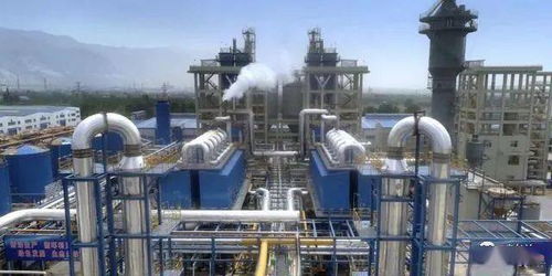 阳光焦化a股ipo启动