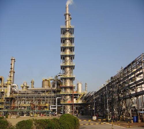 走近零碳 上海化工区调研 企业减排看效益,园区须加强统筹